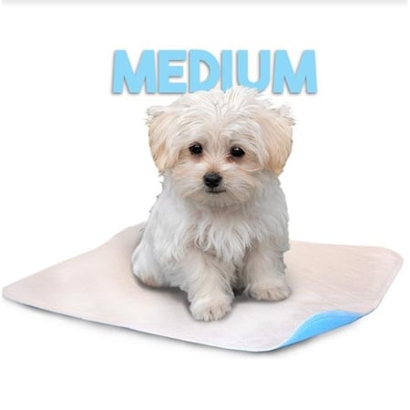 Lennypads Lennypads 1824LP 18 x 24 in. Medium Washable Pet Pad - White 1824LP